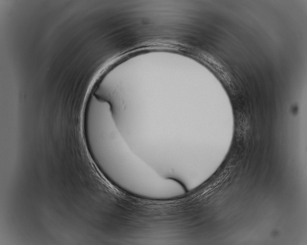 X0000099961188200806201330