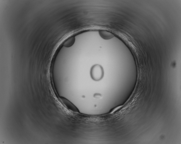 X0000099961189200806201330