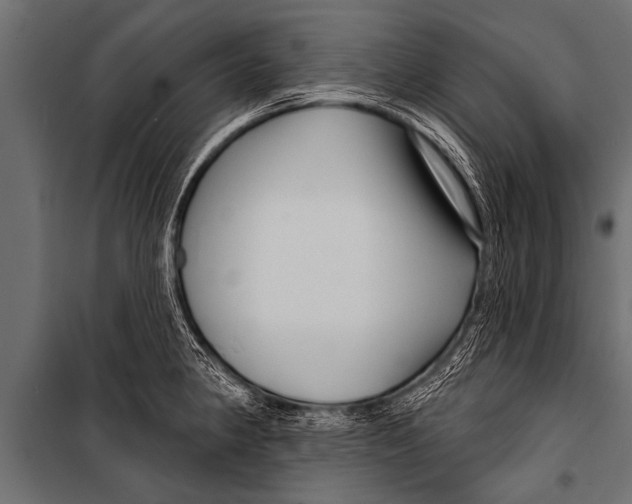 X0000099961190200806201330