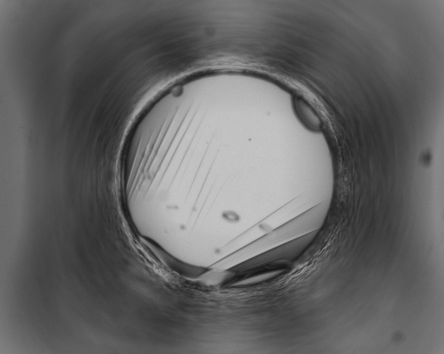 X0000099961191200806201330