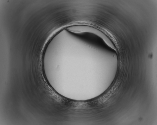 X0000099961192200806201330