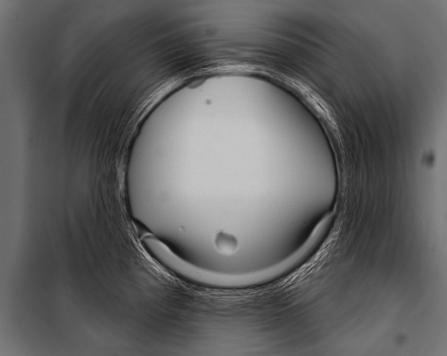 X0000099961193200806201330