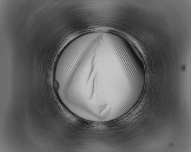 X0000099961194200806201330