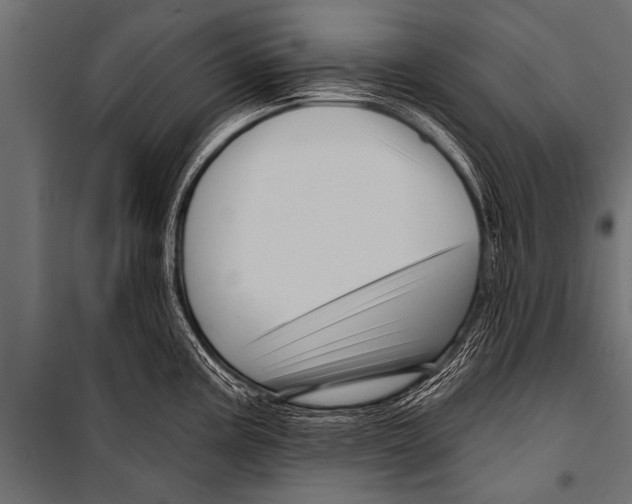 X0000099961195200806201330