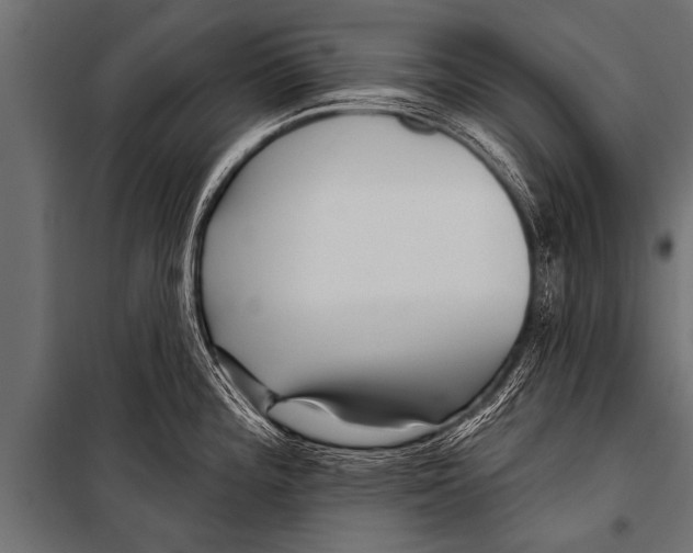 X0000099961196200806201330