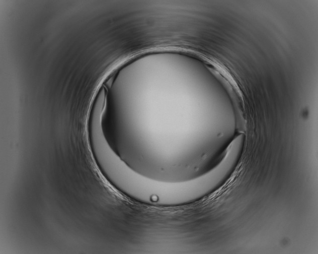 X0000099961197200806201330