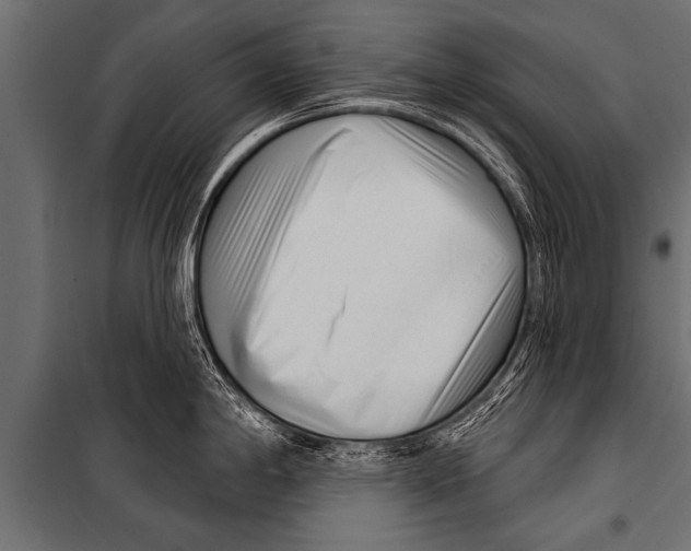 X0000099961198200806201330