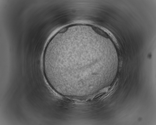 X0000099961199200806201330