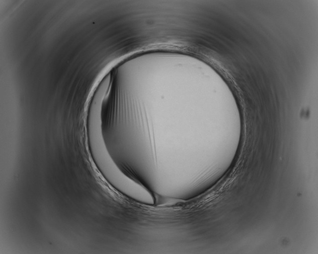 X0000099961200200806201330