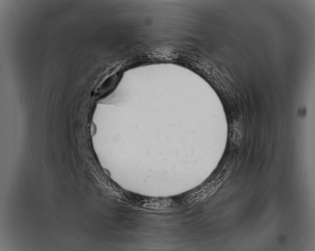 X0000099961201200806201329