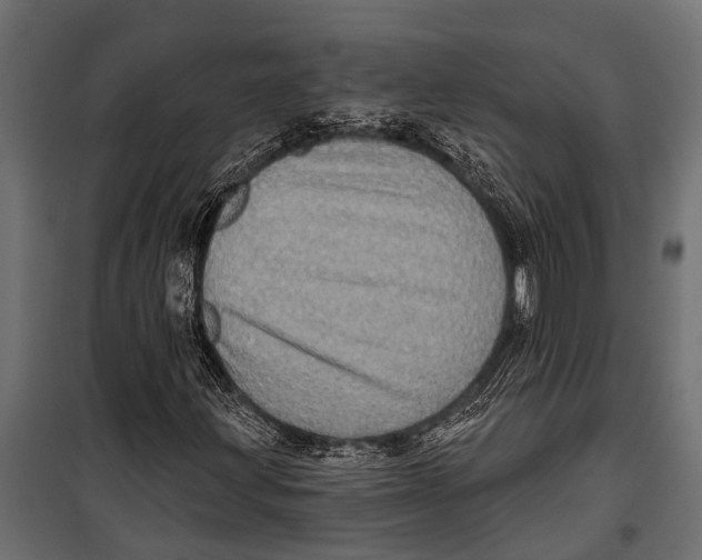 X0000099961203200806201329