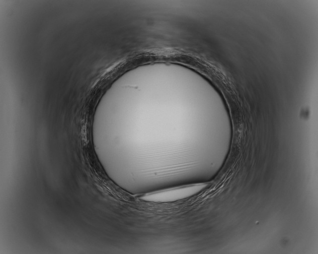 X0000099961205200806201329