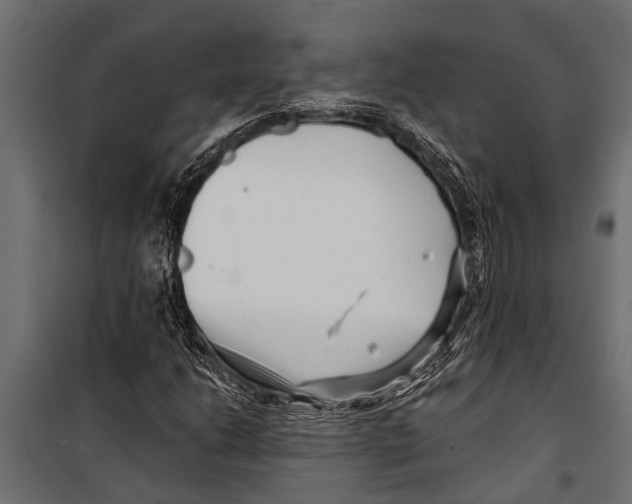 X0000099961206200806201329