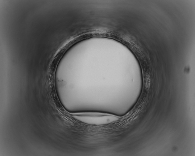 X0000099961208200806201329