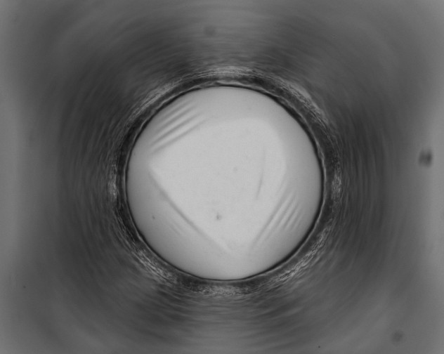 X0000099961209200806201329