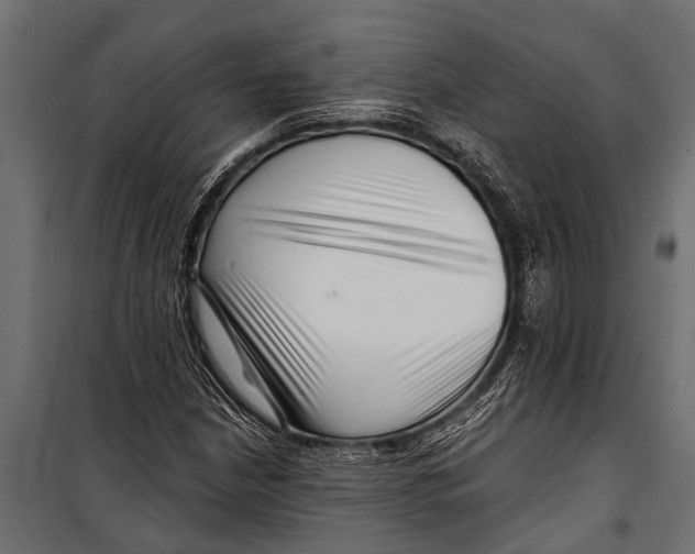 X0000099961210200806201329