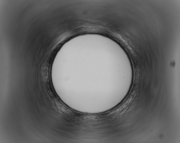 X0000099961211200806201329