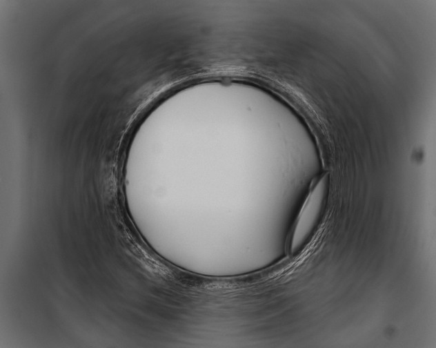 X0000099961212200806201329