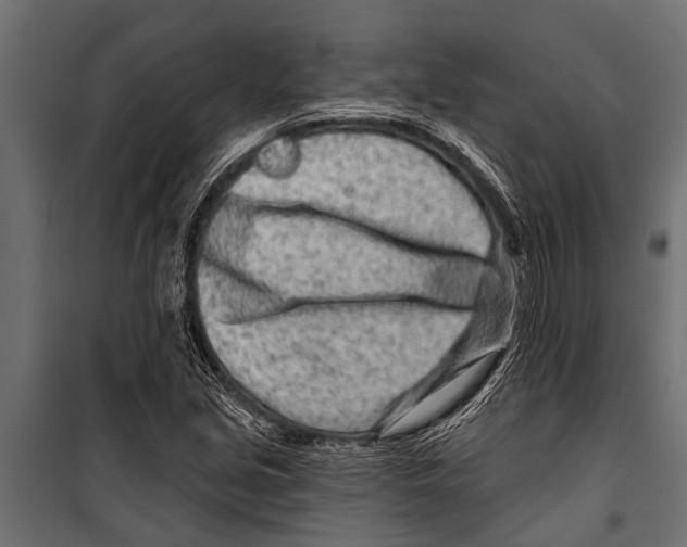 X0000099961213200806201329