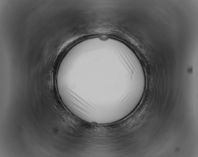 X0000099961214200806201329