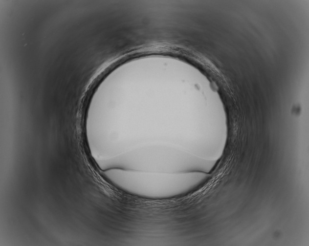 X0000099961216200806201329