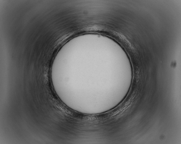 X0000099961217200806201329