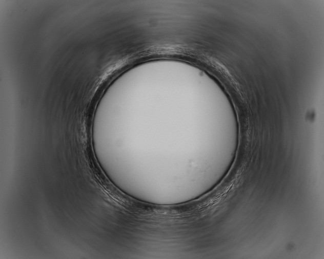 X0000099961218200806201329