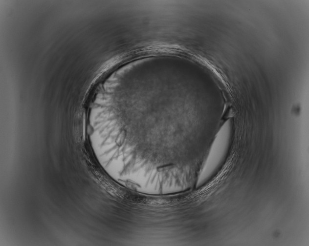 X0000099961219200806201329