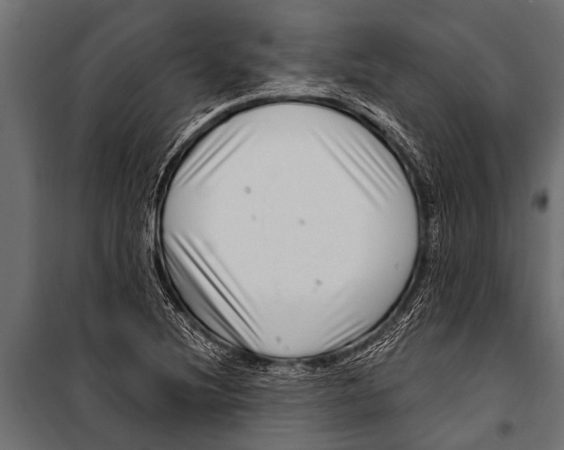 X0000099961220200806201329