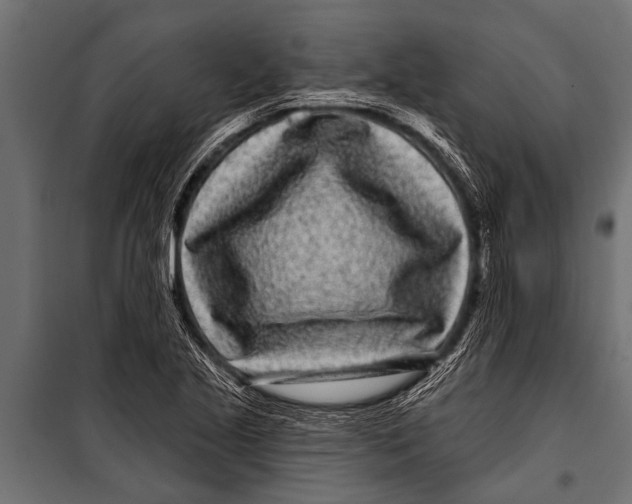 X0000099961221200806201329