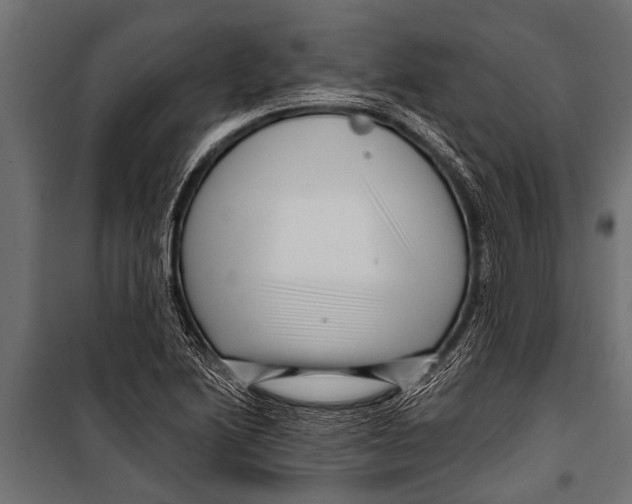 X0000099961222200806201329