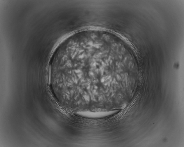 X0000099961223200806201329