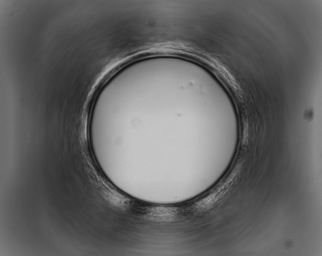 X0000099961224200806201329