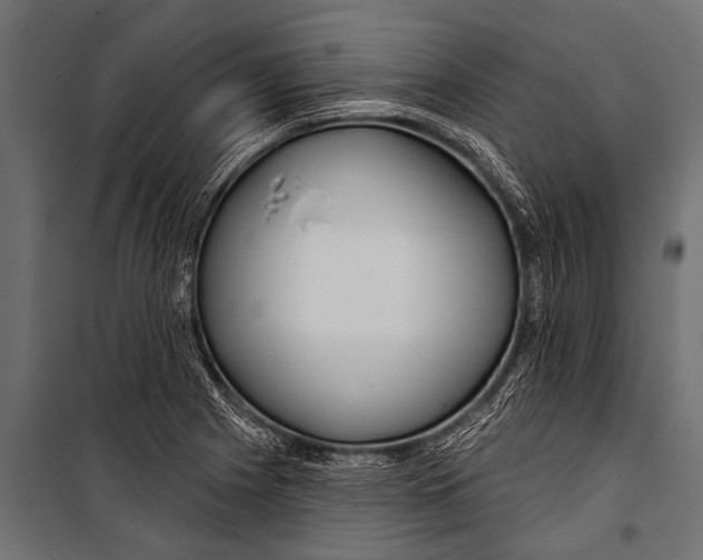 X0000099961225200806201329