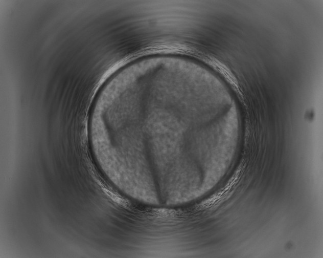 X0000099961226200806201329