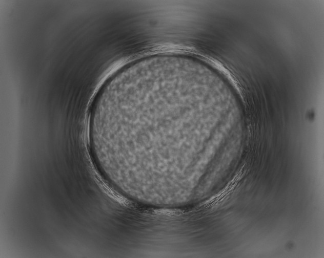 X0000099961227200806201329