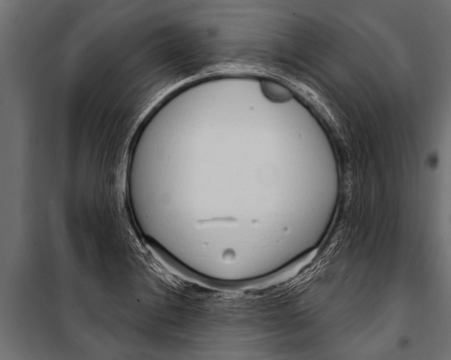 X0000099961228200806201329