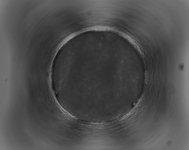 X0000099961229200806201329