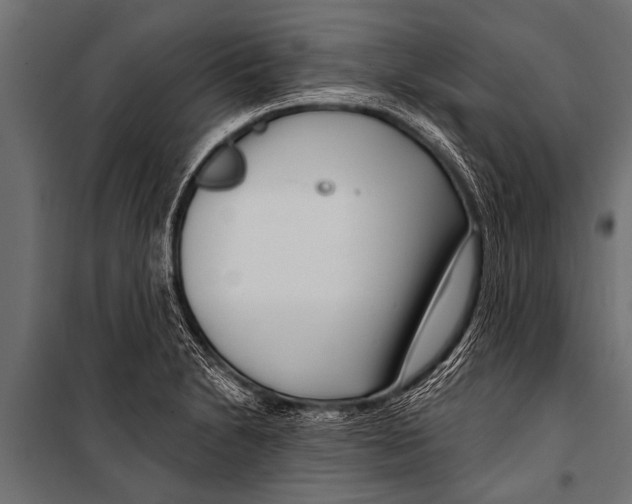 X0000099961230200806201329