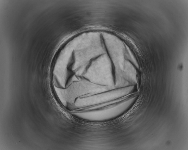 X0000099961231200806201329