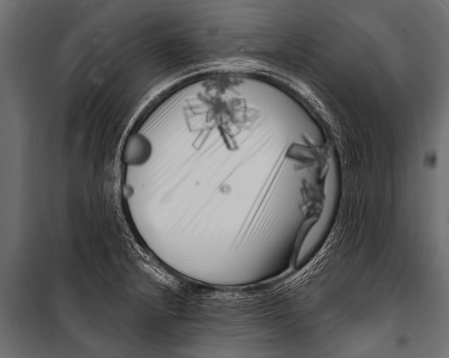 X0000099961232200806201329