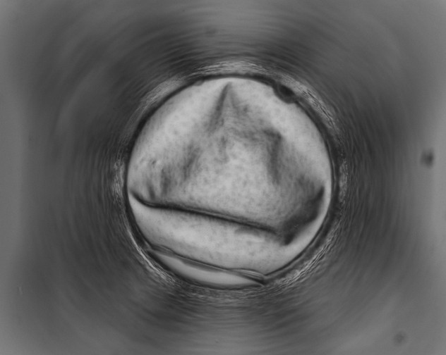 X0000099961233200806201329