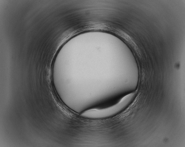 X0000099961234200806201329