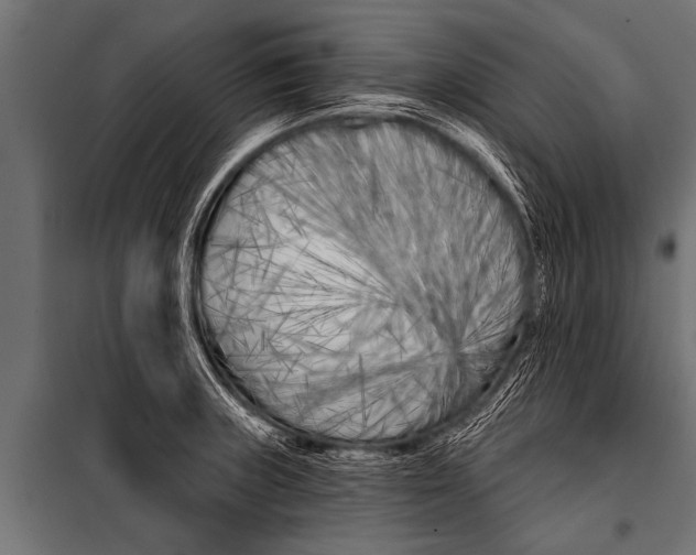 X0000099961235200806201329