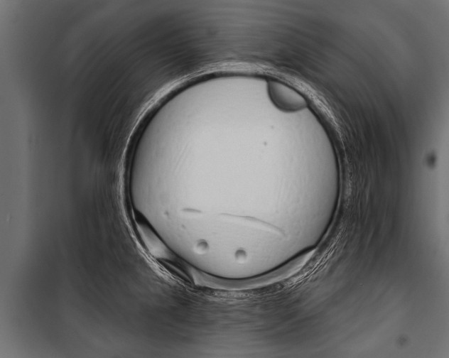 X0000099961237200806201329