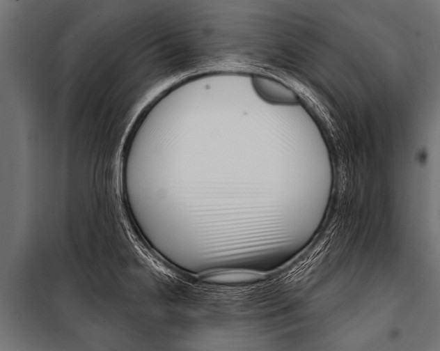 X0000099961238200806201329