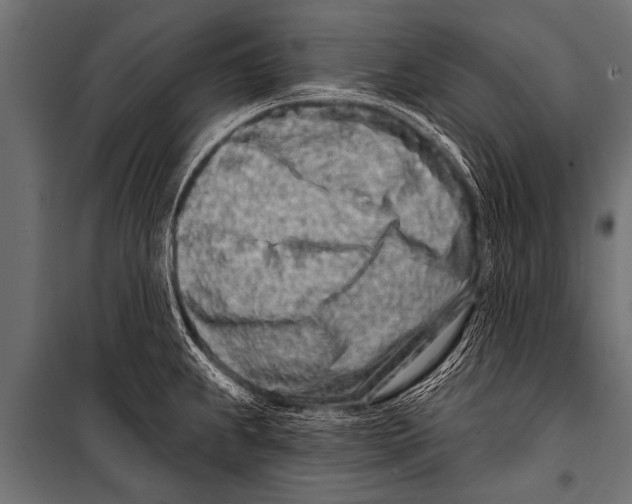 X0000099961239200806201329