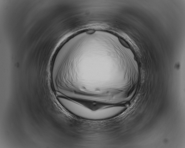 X0000099961240200806201330