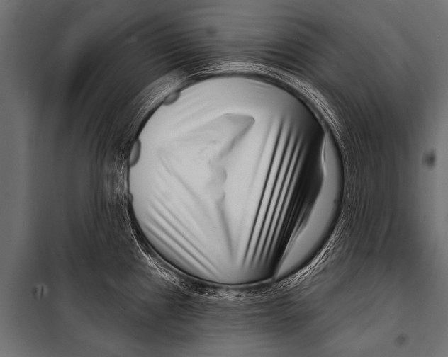 X0000099961241200806201330