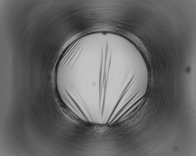 X0000099961242200806201330